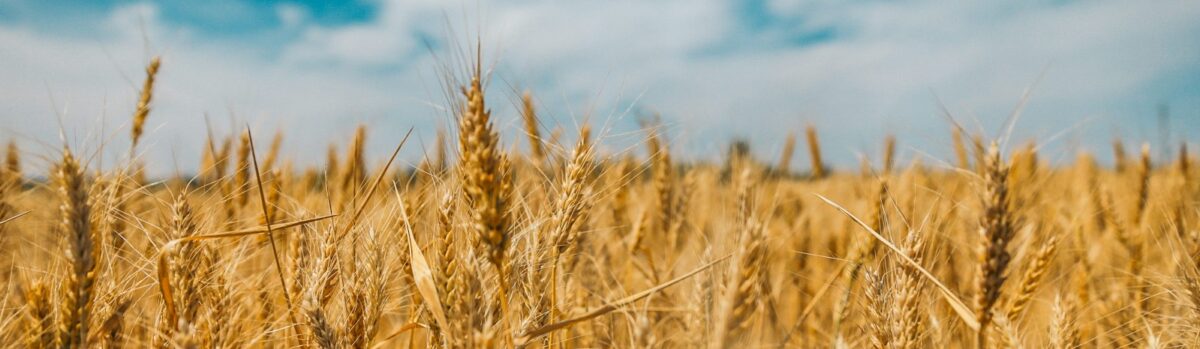 Pastificio Antico B&B